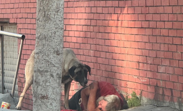 Alanya’da alkollü şahıslar kaldırımda sızdı