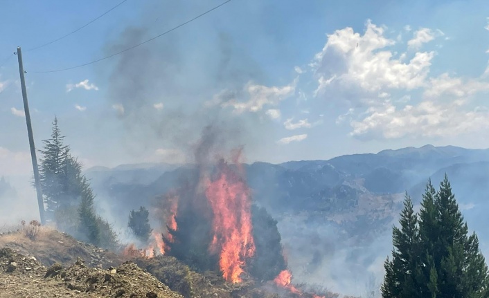 Alanya’da makilik alanda çıkan yangın söndürüldü