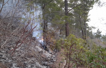 Alanya’da çalıları yakmak isteyen kadın yangın çıkardı