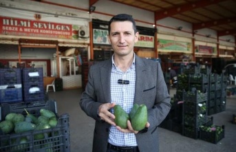 ‘Boş tarlalara destek yerine çiftçi desteklenmeli’