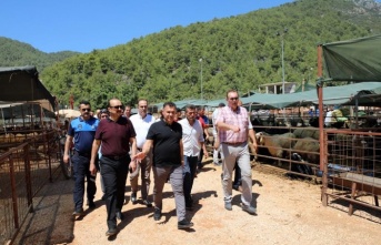 Alanya Belediyesi’nin Kurban Satış Yeri hizmete girdi