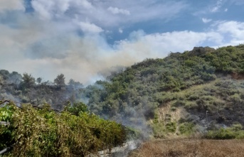 Alanya'da makilik alanda çıkan yangın söndürüldü