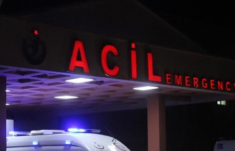 Alanya’da refüjdeki ağaça çarpan otomobilde sürücü yaralandı 