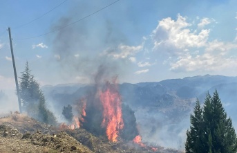 Alanya’da makilik alanda çıkan yangın söndürüldü