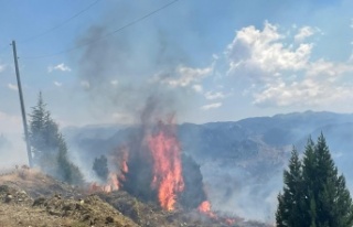 Alanya’da makilik alanda çıkan yangın söndürüldü